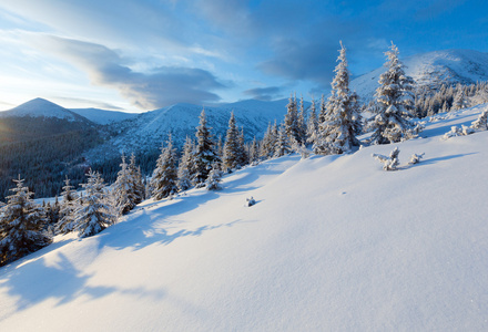 冬天与雪树山风景