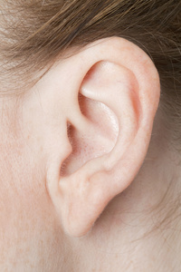 女人的耳朵