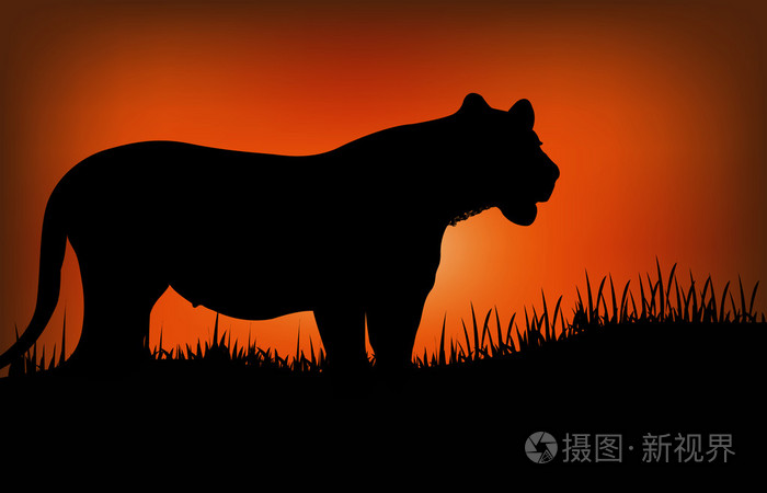 一只豹子的剪影