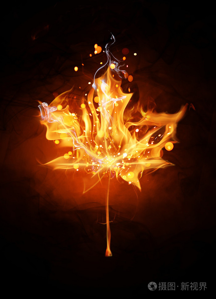 火象星座加拿大