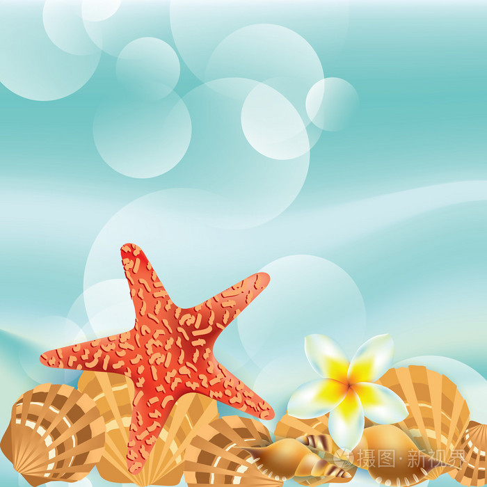 与海贝壳矢量抽象背景