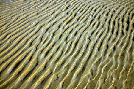 在沙子里的雕花的线条