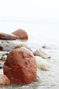 石头在海水秋海