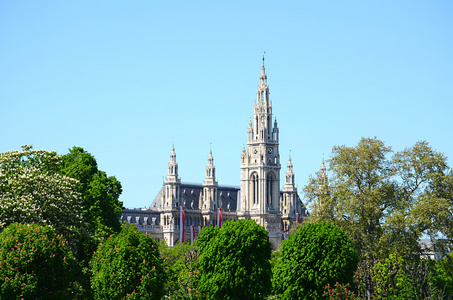 从 volksgarten，奥地利维也纳市政厅的视图