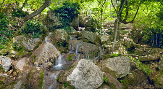 布鲁克斯