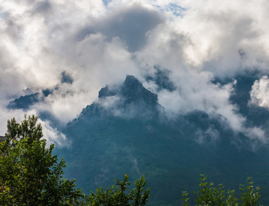 在山雾