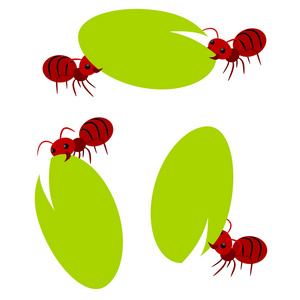 红蚂蚁团队协作图