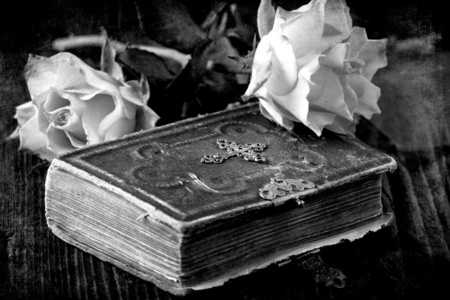 湿与旧圣经书旧棕色木桌子上的玫瑰