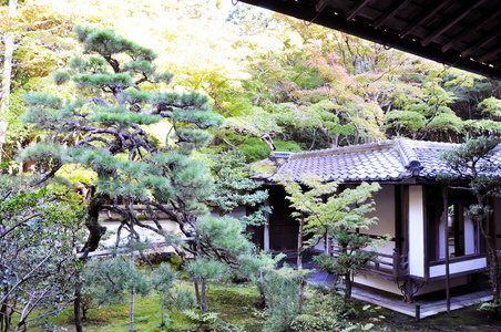 日本花园在殿里，江东区在大德j 分寺