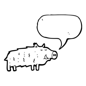 猪与语音泡沫