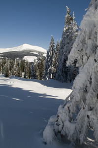 山中雪冬