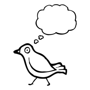 鸟与思想泡泡