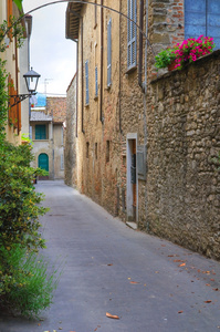 小巷。专营。艾米利亚罗马涅。意大利