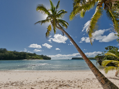 polinesian 天堂白色沙子海滩椰子树和渔民的船