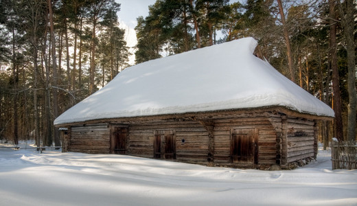 冬季在森林中的旧碉堡