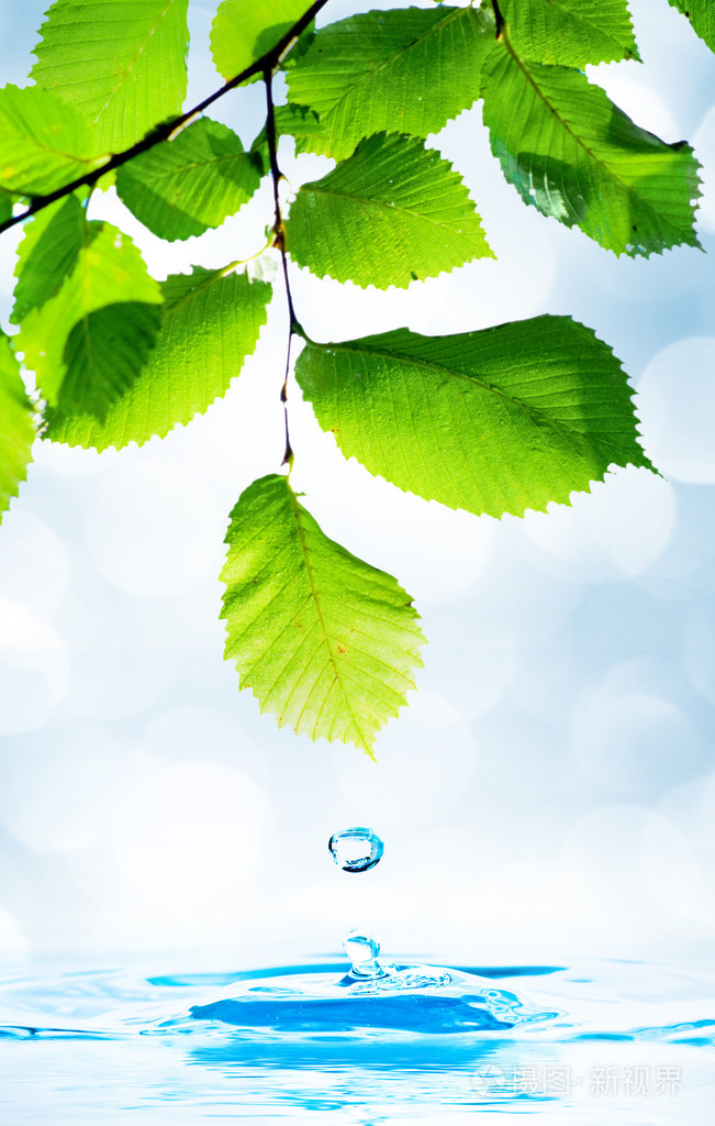 绿叶与水滴在水中倒影