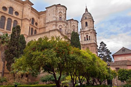 马拉加大教堂，安达鲁西亚西班牙