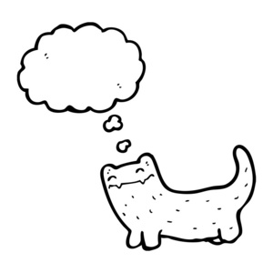 思想泡泡的快乐猫