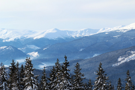 喀尔巴阡山的雪的山峰