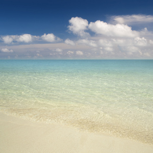热带海滩。蓝蓝的天空和清澈的水