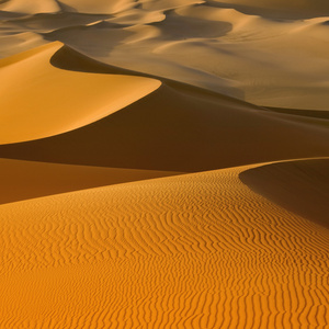 在撒哈拉沙漠，利比亚的沙丘