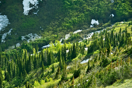 蒙大拿州的荒野景观