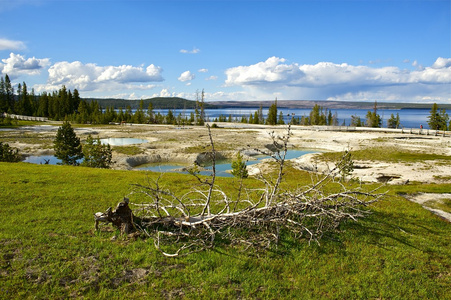 r yellowstone landskap