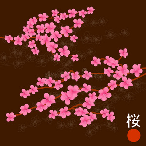 粉红色樱花枝