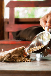 咖啡 农业 自然 解雇 农场 农事 行业 种子 食物