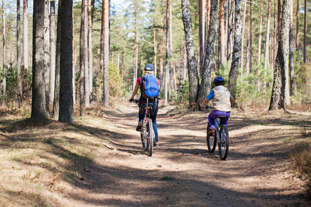 一家人在户外骑自行车，春天的森林。
