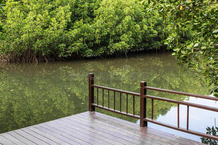 环境 冒险 红树林 追踪 通路 公园 季节 走道 木材 泰国