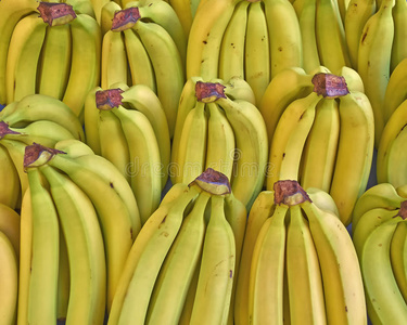 出售的新鲜香蕉