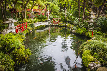 funchal，马德拉岛，葡萄牙。