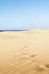 马斯帕洛马斯海滩上的沙丘。