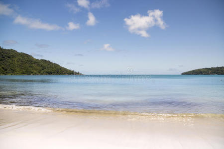 自然 放松 美丽的 美女 天堂 地平线 海岸 海洋 海景