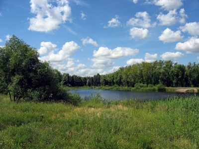 夏季景观公园池塘