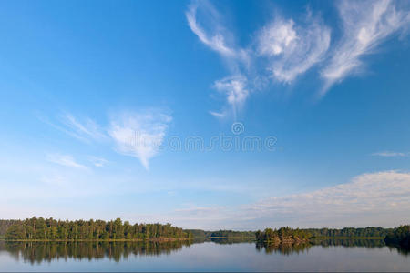 夏季景观