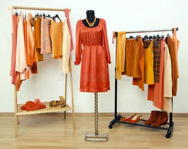 衣橱里挂着橙色的衣服，模特身上穿着一件衣服。