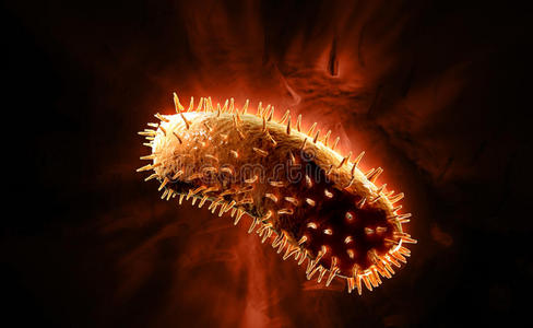 狂犬病病毒照片