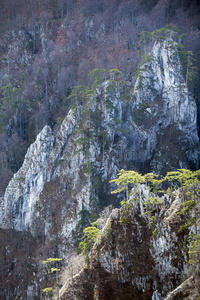 塔拉河峡谷是世界第二大峡谷，也是欧洲最大的峡谷，位于杜尔国家公园