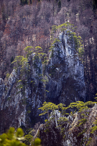 塔拉河峡谷是世界第二大峡谷，也是欧洲最大的峡谷，位于杜尔国家公园