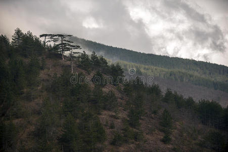 塔拉河峡谷是世界第二大峡谷，也是欧洲最大的峡谷，位于杜尔国家公园