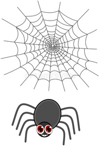 有网的蜘蛛