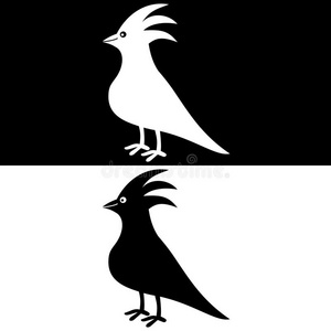 黑白相间的鸟影照片