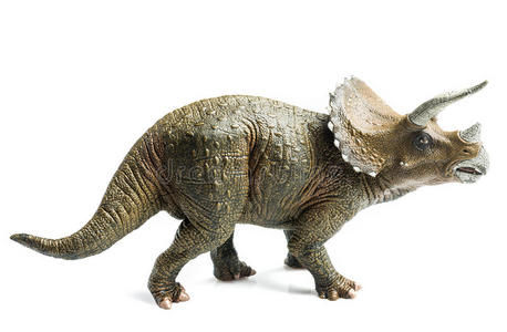 中生代图片-中生代素材-中生代插画-摄图新视界