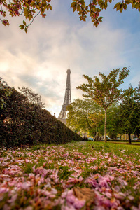 法国巴黎的埃菲尔铁塔，春天的叶子