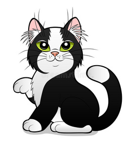 减肥猫卡通图片