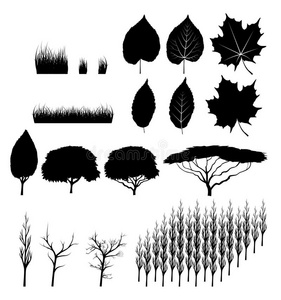 树木和树叶
