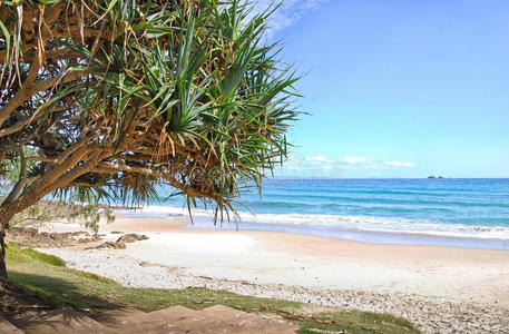 澳大利亚拜伦湾海滩