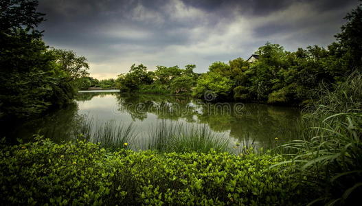 西溪湿地